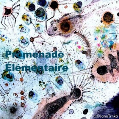 Promenade élémentaire Olivia Csiky Trnka